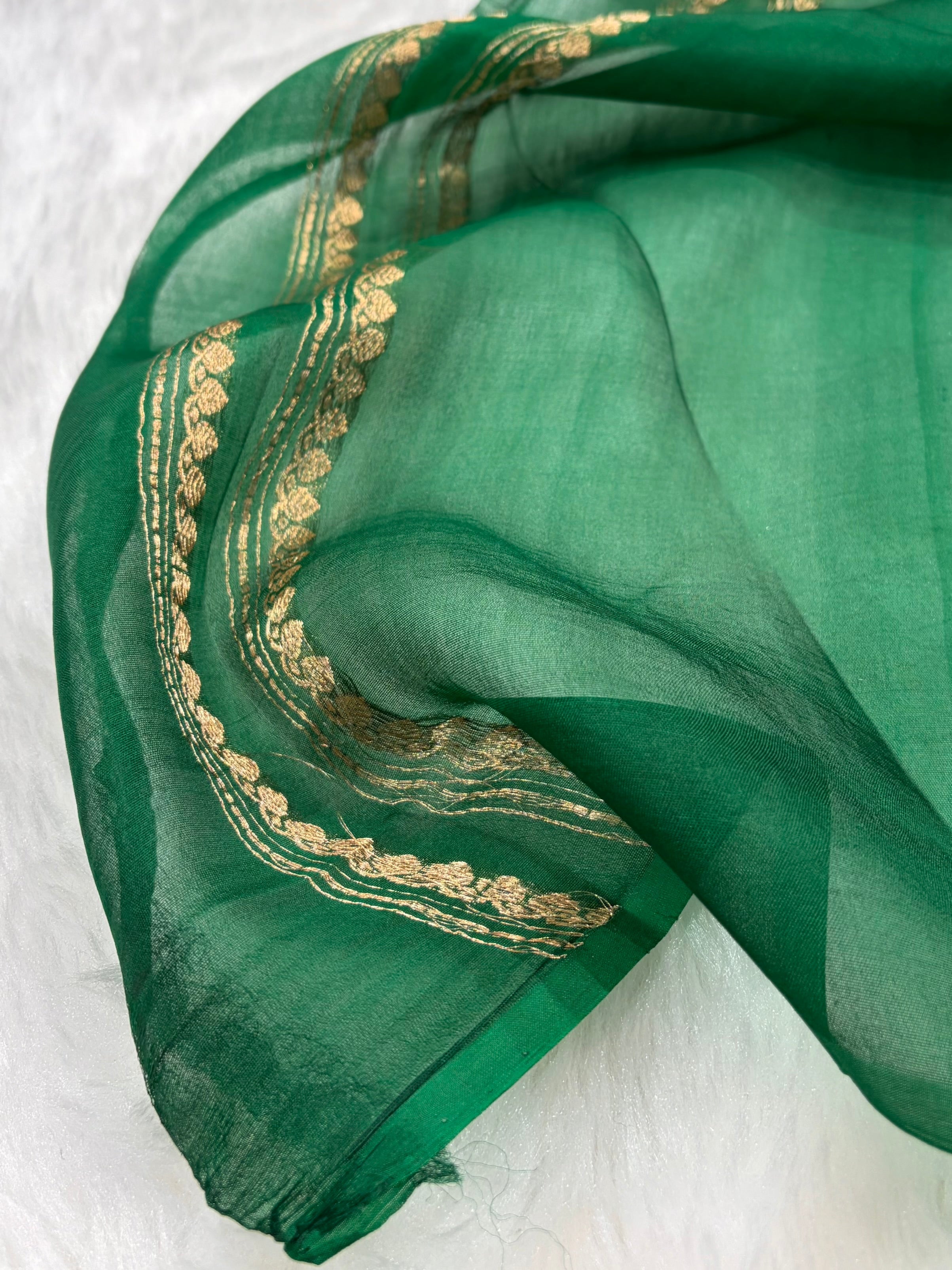 Green Tissue Organza Bananasi Floral Shades Pure Tissue Silk Saree